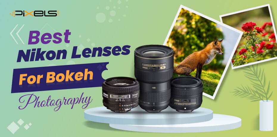 Best Nikon Lenses For Bokeh