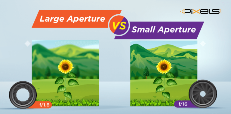 Large Aperture Vs Small Aperture: Know Like A Pro!