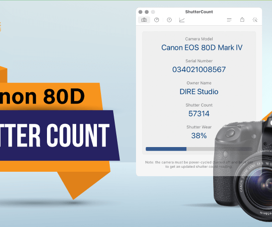 Canon 80D Shutter Count