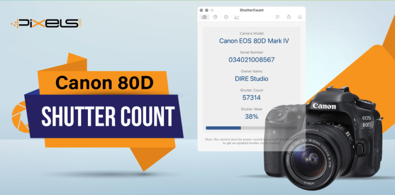 Canon 80D Shutter Count: An All-In-All Guide!