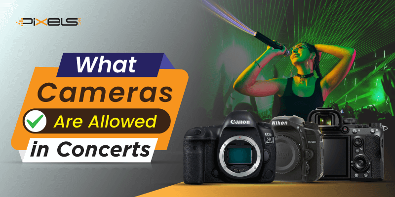 What Cameras Are Allowed In Concerts