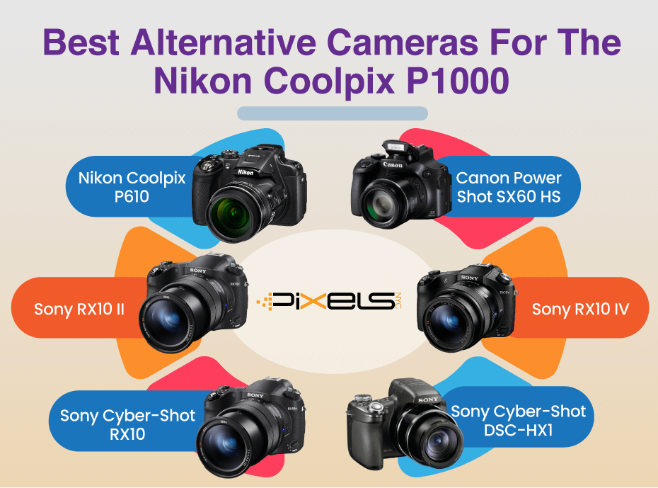 Best Alternative Cameras For The Nikon Coolpix P1000