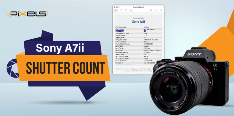 Sony A7II Shutter Count [An In-Depth Guide!]